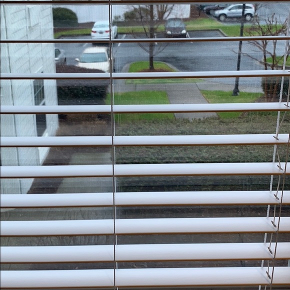 Meet your Posher, Shannon - Picture 1 of 1